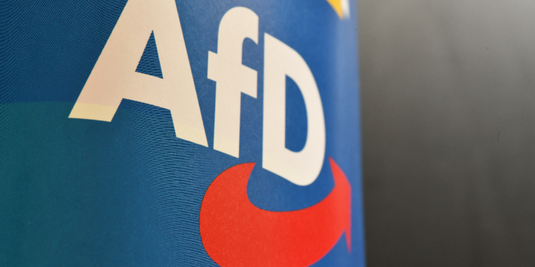 afd-programm-2025-ziele-und-forderungen
