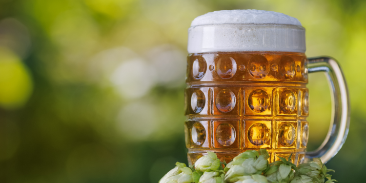 Hopfenbauern kämpfen mit Preisverfall und Klimawandel