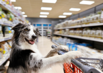 größtes-zoogeschäft-der-welt-meldet-insolvenz-an