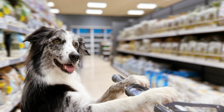 größtes-zoogeschäft-der-welt-meldet-insolvenz-an